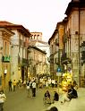 IMG_1239 copy